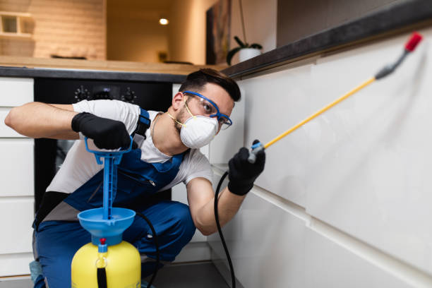 Best Pest Removal Services  in Rollingwood, CA