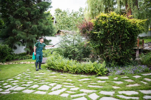 Best Wildlife Control Services  in Rollingwood, CA