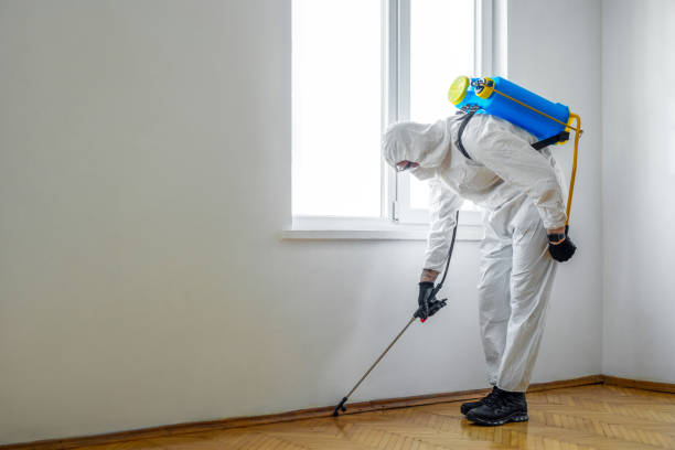 Best Best Pest Control Companies  in Rollingwood, CA