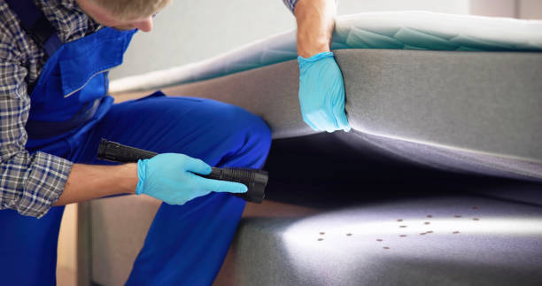 Best Residential Pest Control  in Rollingwood, CA