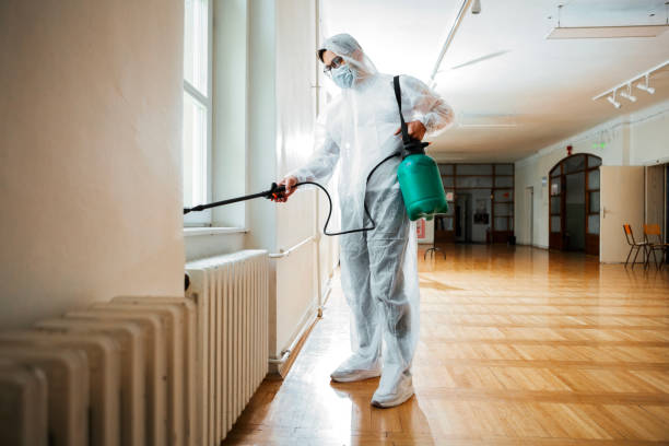 Best Best Pest Control Companies  in Rollingwood, CA