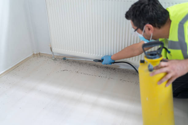 Best Pest Prevention Services  in Rollingwood, CA