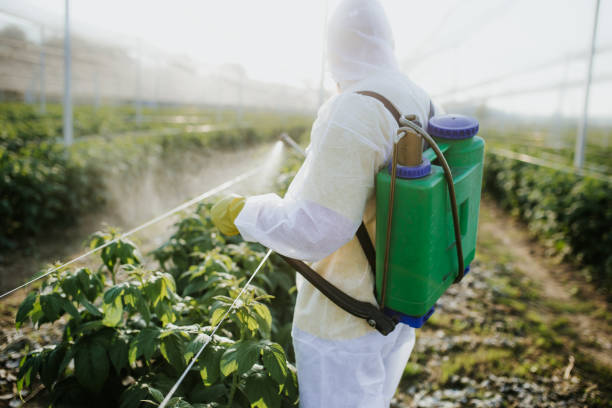 Best Best Pest Control Companies  in Rollingwood, CA